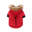 Cozypaws Winter Pet Jacket - Dog Hugs Cat