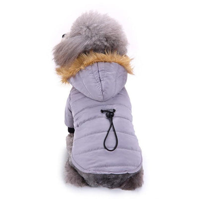 Cozypaws Winter Pet Jacket - Dog Hugs Cat