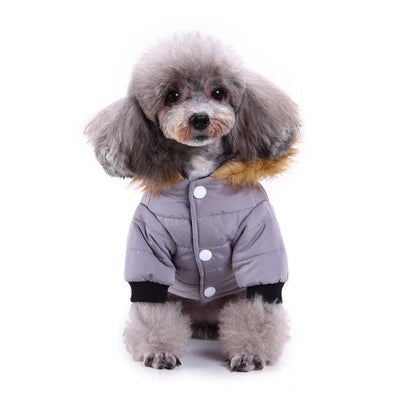 Cozypaws Winter Pet Jacket - Dog Hugs Cat