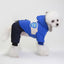 Cozypaws Winter Warmer: Stylish Snow Coat For Dogs - Dog Hugs Cat