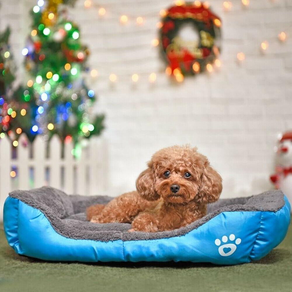 Cozypet Washable Plush Pet Bed: The Ultimate Snuggle Spot For Your Furry Friend - Dog Hugs Cat