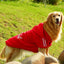 Cozysport Pet Cotton - Padded Clothes: Stylish And Warm Pet Apparel For Every Season - Dog Hugs Cat