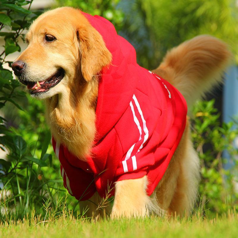 Cozysport Pet Cotton - Padded Clothes: Stylish And Warm Pet Apparel For Every Season - Dog Hugs Cat