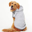 Cozysport Pet Cotton - Padded Clothes: Stylish And Warm Pet Apparel For Every Season - Dog Hugs Cat