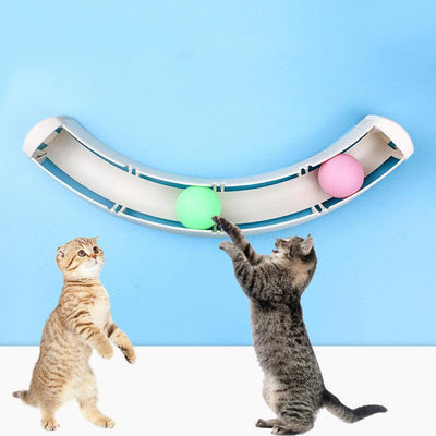 Curved Track Interactive Cat Toy - Dog Hugs Cat