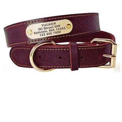 Custom Engraved Leather Dog Collar With Golden Nameplate - Personalized Identification For Medium To Large Dogs - Dog Hugs Cat