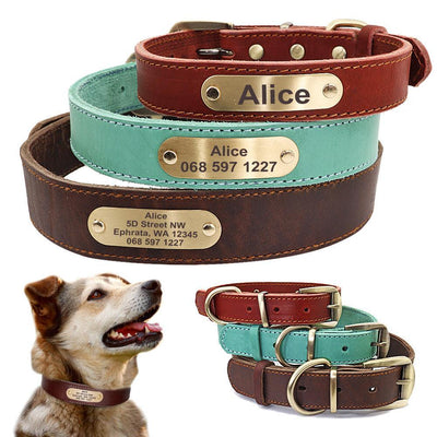 Custom Engraved Leather Dog Collar With Golden Nameplate - Personalized Identification For Medium To Large Dogs - Dog Hugs Cat