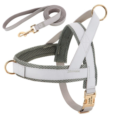 Customizable Pet Harness And Leash Set - Dog Hugs Cat