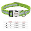 Customizable Pet Identity Collar - The Perfect Blend Of Style And Safety - Dog Hugs Cat