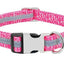 Customizable Pet Identity Collar - The Perfect Blend Of Style And Safety - Dog Hugs Cat