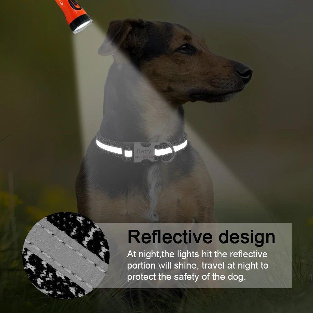 Customizable Pet Identity Collar - The Perfect Blend Of Style And Safety - Dog Hugs Cat