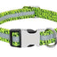 Customizable Pet Identity Collar - The Perfect Blend Of Style And Safety - Dog Hugs Cat