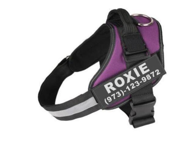 Customizable Reflective No - Pull Dog Harness: The Ultimate Safety And Comfort Solution For Your Furry Friend - Dog Hugs Cat