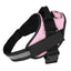 Customizable Reflective No - Pull Dog Harness: The Ultimate Safety And Comfort Solution For Your Furry Friend - Dog Hugs Cat