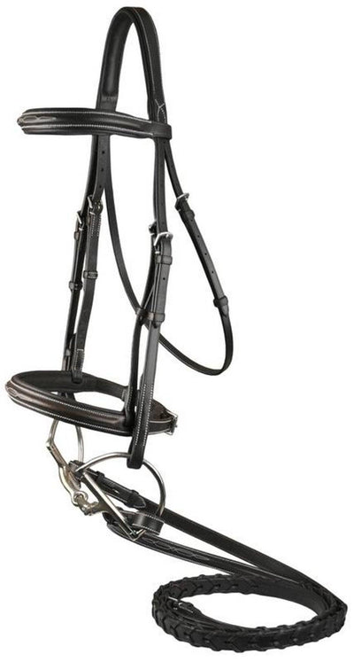 Da Vinci Fancy Raised Padded Comfort Crown Bridle with Laced Reins - Dog Hugs Cat