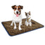 Premium Self-Heating Thermal Mattress Bed for Pets | Ultimate Warmth and Comfort