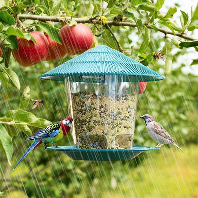 Deluxe Hanging Metal Bird Feeder: Attract And Delight Garden Birds With Style - Dog Hugs Cat