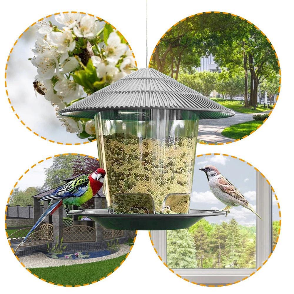 Deluxe Hanging Metal Bird Feeder: Attract And Delight Garden Birds With Style - Dog Hugs Cat