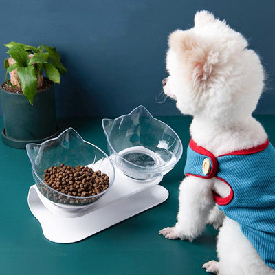 Deluxe Pet Dining Experience: Elegant Inclined Food Cat Bowl With Transparent Design - Dog Hugs Cat