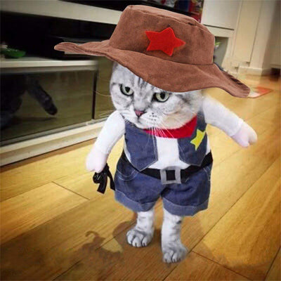 Denim Cowboy Pet Costume - Dog Hugs Cat