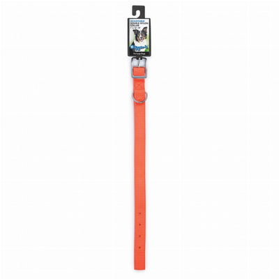 DGR Neon Orange Nylon Dog Collar - 18in - Dog Hugs Cat