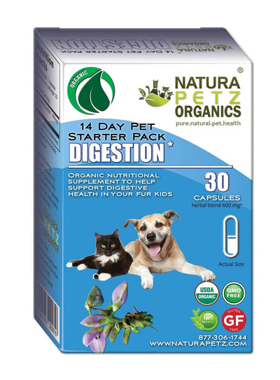 Digestive Health Essentials Pack for Dogs and Cats - Dog Hugs Cat