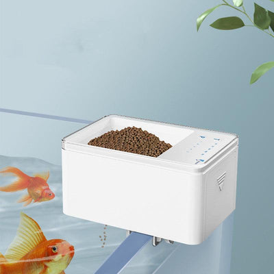 Digital Fish Feeder: Effortless Feeding For Your Aquatic Friends - Dog Hugs Cat