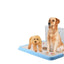 Dog Toilet Puppy Dog Supplies Teddy Dog Urinal Potty Golden Hair Puppies - Dog Hugs Cat