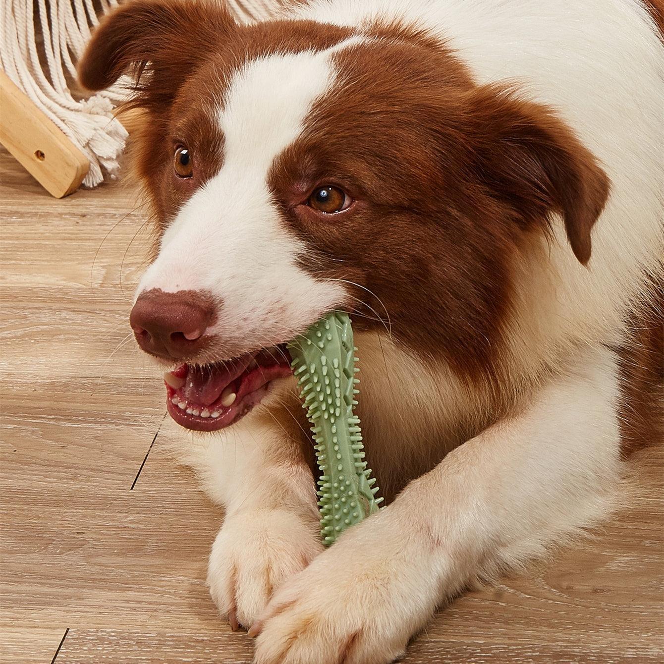 Doggydental Chew & Play Toy - Dog Hugs Cat