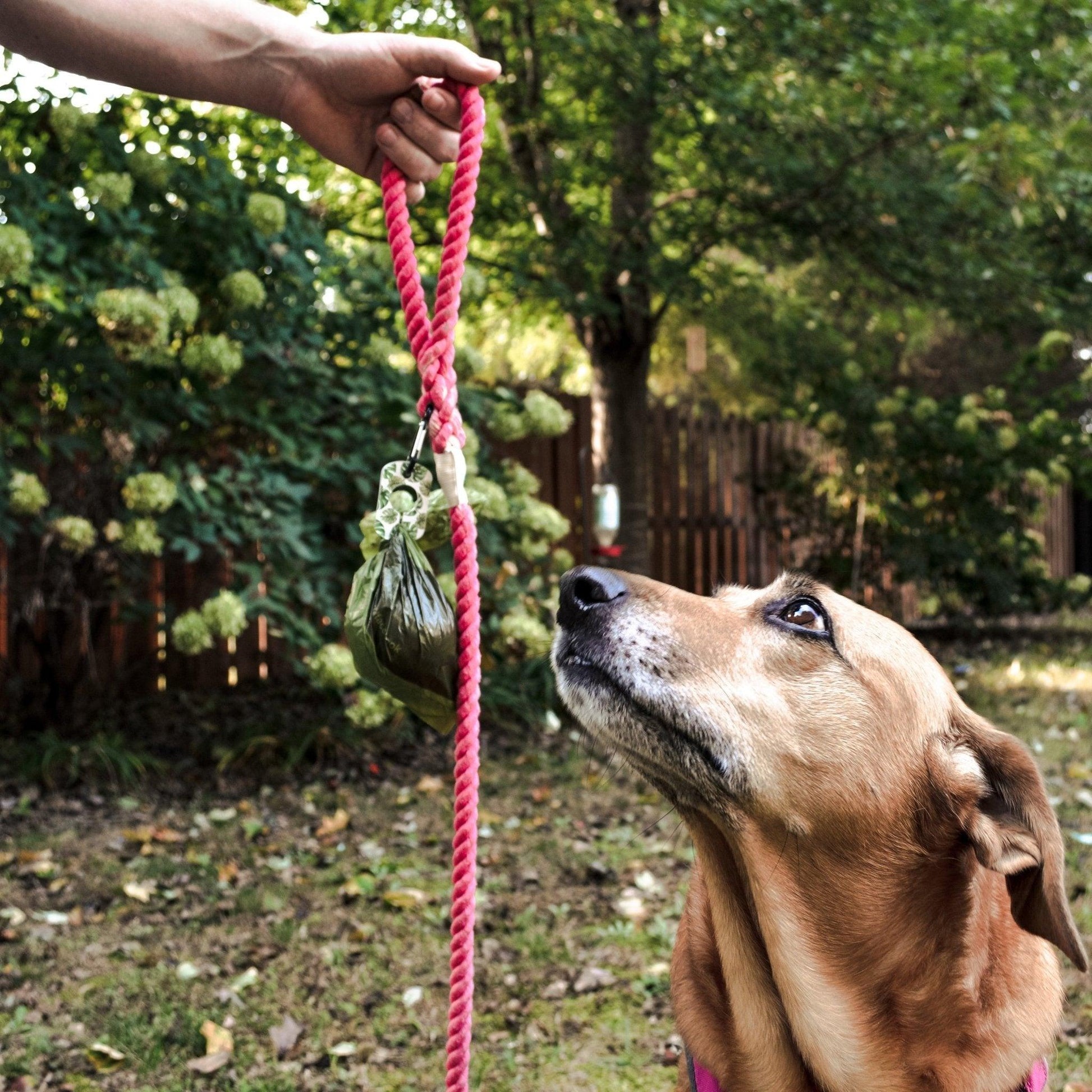 Doo Pal Hands - Free Dog Poop Bag Holder - Dog Hugs Cat