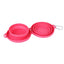 Double Collapsible Pet Feeding Bowl Set - Convenient And Portable Dog And Cat Bowls - Dog Hugs Cat