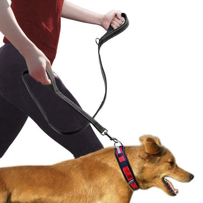 Double Distance Reflective Nylon Pet Leash With Metal Buckle And Handle - Dog Hugs Cat