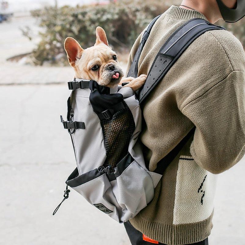 Double Shoulder Portable Pet Dog Carrier Backpack - Travel In Style With Your Furry Friend! - Dog Hugs Cat