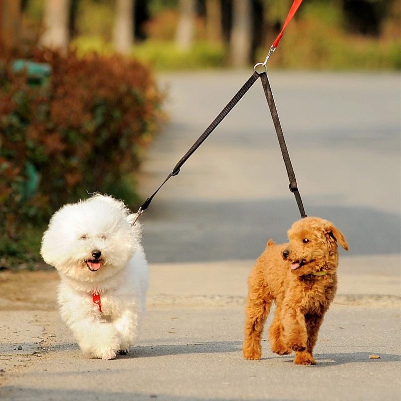 Double Trouble Dog Leash Coupler - Walk Two Dogs With Ease! - Dog Hugs Cat