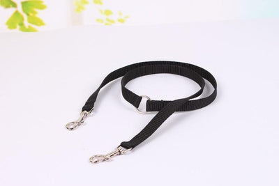 Double Trouble Dog Leash: Walk Your Puppies In Sync - Dog Hugs Cat