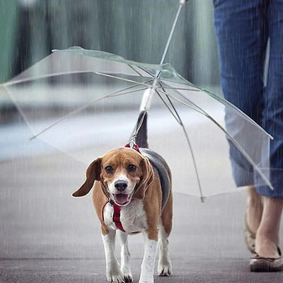 Weatherproof Pet Umbrella Leash