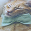 Handmade Cute Orange Cat Paw Pillow - Photo Print Cover & Insert Option