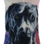 Elegant Great Dane Watercolor Pillow Cover