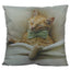 Handmade Cute Orange Cat Paw Pillow - Photo Print Cover & Insert Option