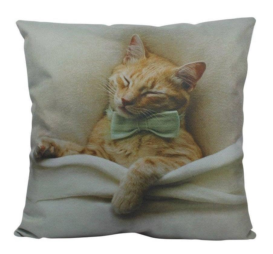 Handmade Cute Orange Cat Paw Pillow - Photo Print Cover & Insert Option