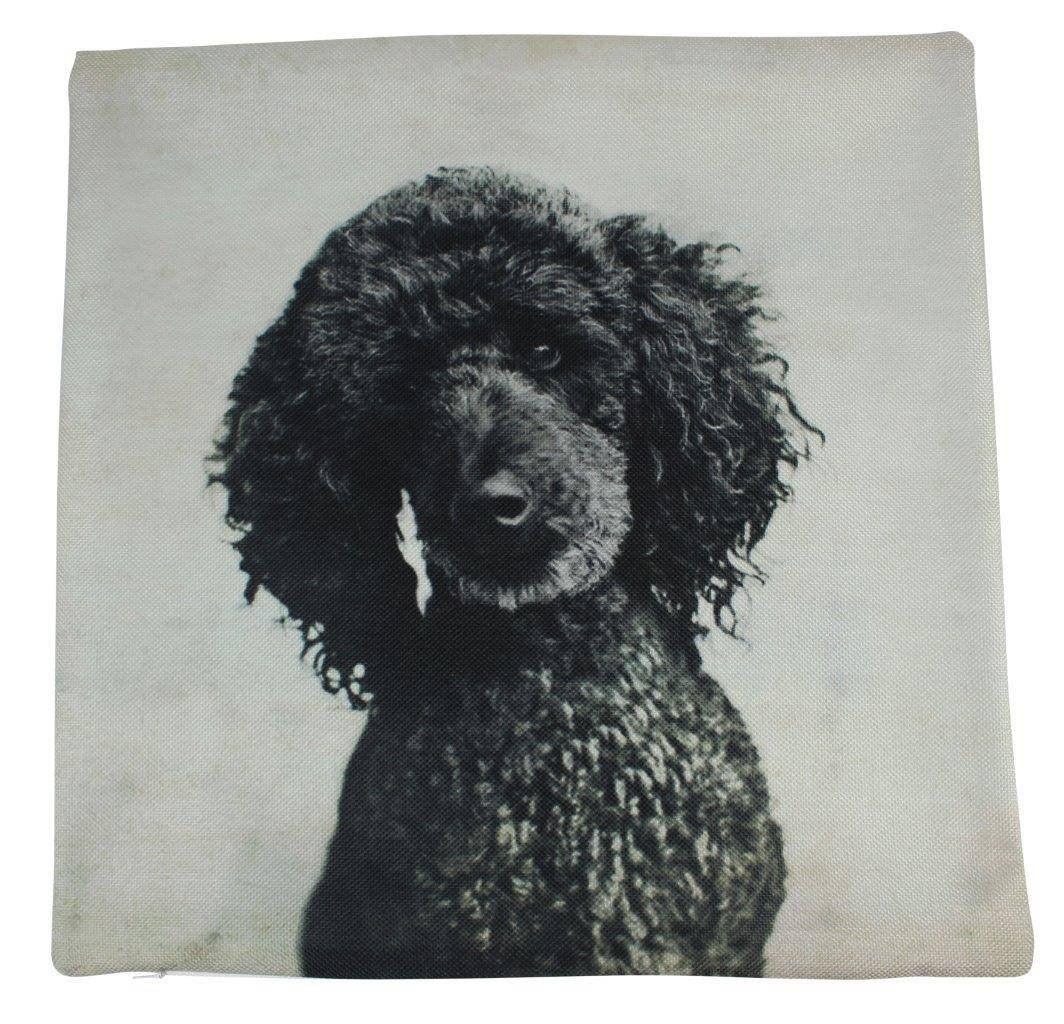 Photograph Black Poodle Throw Pillow - Handmade Cotton/Polyester Blend Dog Pillow