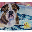 Watercolor Bulldog Bath Time Pillow Cover