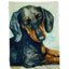 WaterColor Dachshund 12x18 Pillow Cover by George Dyachenko