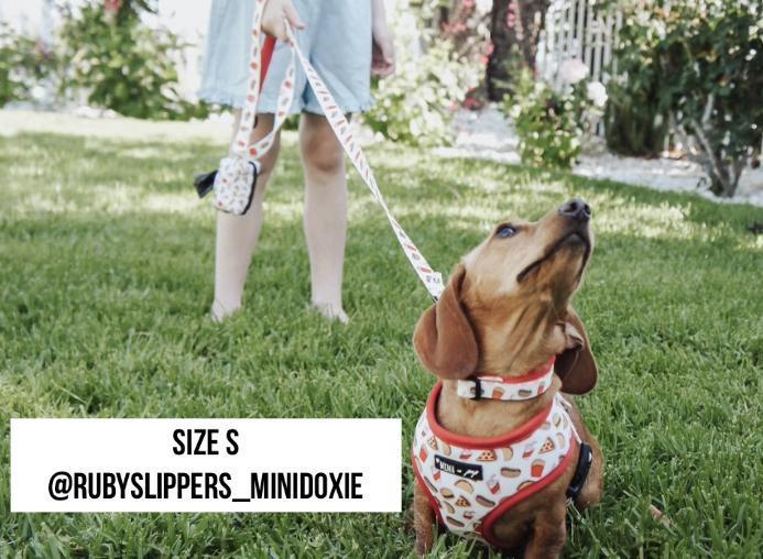 Mina Drive-In Diner Reversible Dog Harness