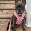 Pupshake Neoprene Adjustable Harness in Pink by Mina + Pup