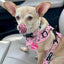 Pupshake Neoprene Adjustable Harness in Pink by Mina + Pup