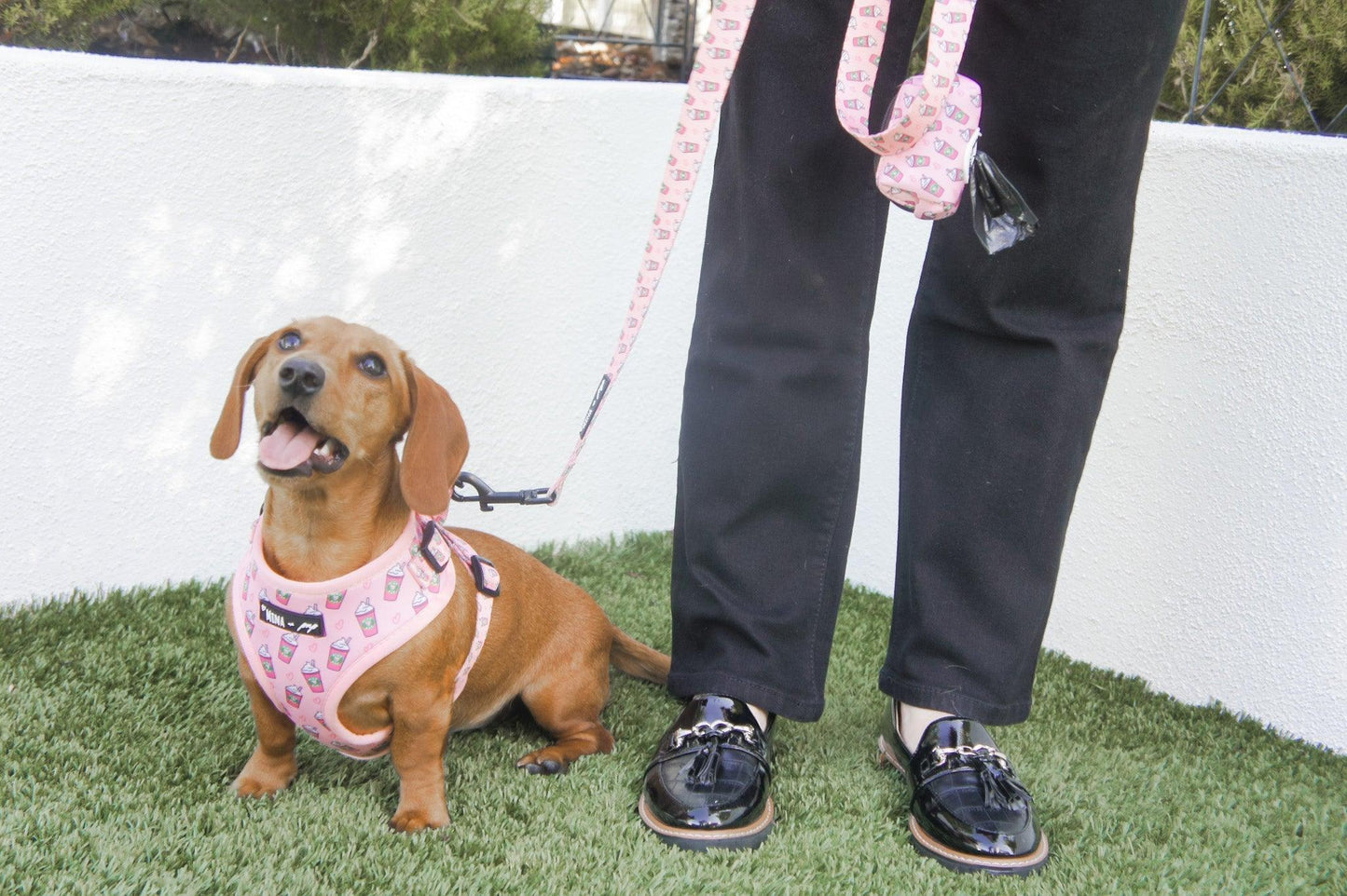 Pupshake Pink Comfort Leash - Neoprene Padded Handle, 5ft Length