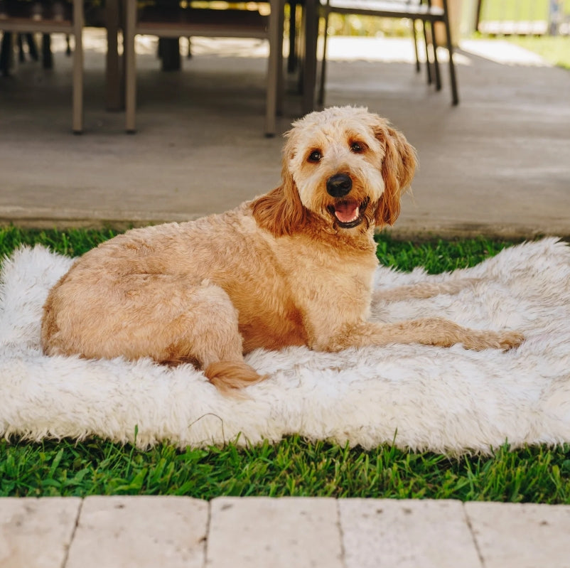 Luxury Portable Orthopedic Dog Bed with Memory Foam and Faux Fur - White with Brown Accents by Paw PupRug