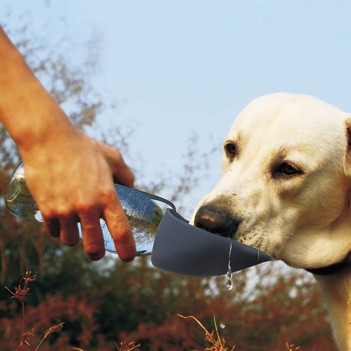 Yap & Paw Flip-Up Leaf Portable Pet Water Bottle