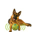 Wobble Wag Giggle Glow Ball: Illuminating Fun for Your Pup